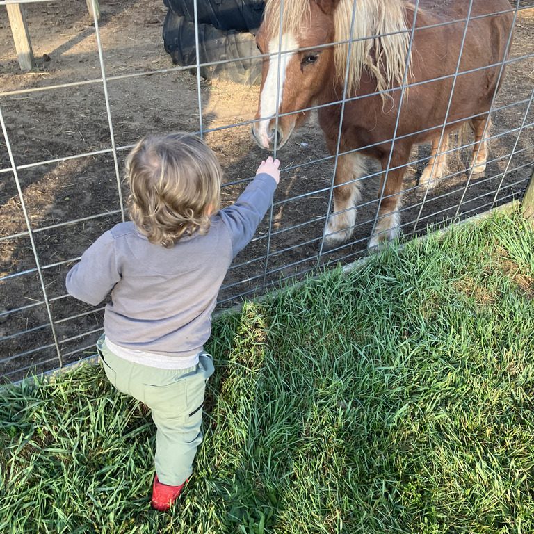 015366e5-97d4-4f6a-a118-8b0e29168d74_fef62c0c_355f_4196_867a_923a4b3dd8ff_display